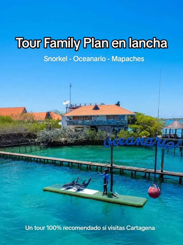 Foto de Family Plan Blue