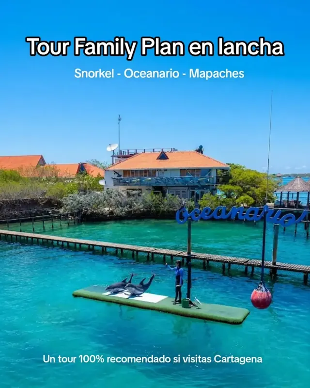 Foto de Family Plan Blue